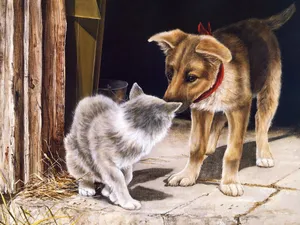 手绘猫咪 第二辑_11