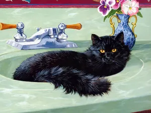 手绘猫咪 第二辑_13
