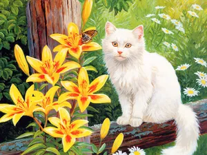 手绘猫咪 第二辑_15