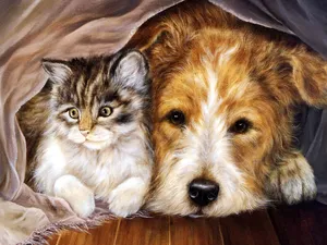 手绘猫咪 第二辑_16
