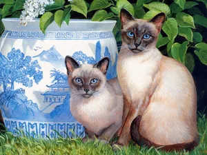 手绘猫咪 第二辑_17