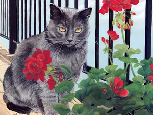 手绘猫咪 第二辑_18