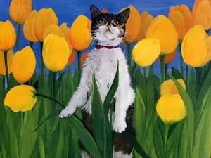 手绘猫咪 第二辑_19