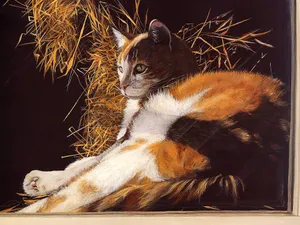 手绘猫咪 第一辑第1张
