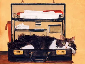 手绘猫咪 第一辑_2