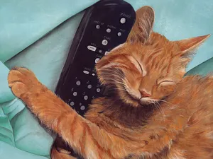 手绘猫咪 第一辑_3