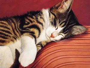 手绘猫咪 第一辑_5
