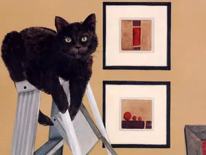 手绘猫咪 第一辑_7