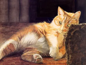 手绘猫咪 第一辑_8