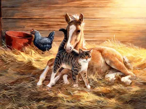 手绘猫咪 第一辑_10