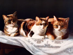 手绘猫咪 第一辑_11