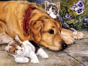 手绘猫咪 第一辑_12