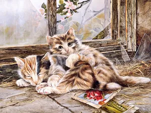 手绘猫咪 第一辑_13