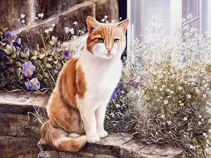 手绘猫咪 第一辑_14