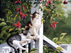 手绘猫咪 第一辑_16