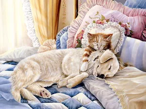 手绘猫咪 第一辑_18