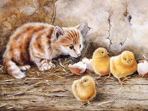 手绘猫咪 第一辑_19