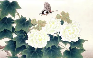 手绘花鸟 第一辑_9