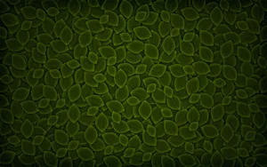 Vladstudio 第八辑_2