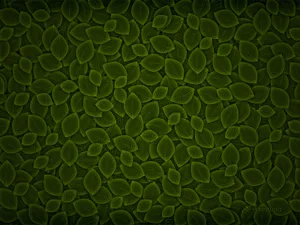 Vladstudio 第八辑_16