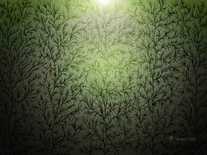 Vladstudio 第七辑_10