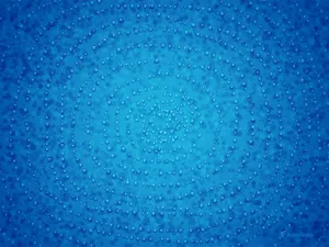 Vladstudio 第七辑_11