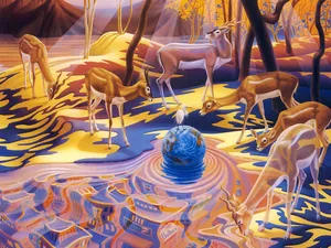 Ilene Meyer 第二辑