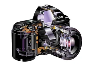 矢量精品欣赏 第一辑_3