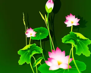 矢量Ndesign 第一辑_3