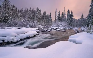 冰霜雪景高清壁纸_4