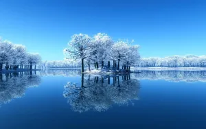 冰霜雪景高清壁纸_12
