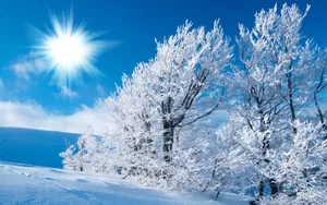 冰霜雪景高清壁纸_13