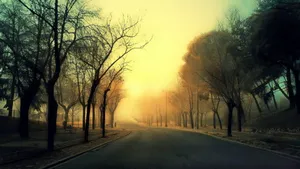 高清风景图片桌面壁纸_5