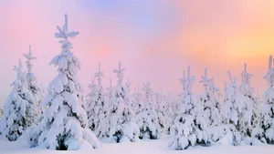 冬季高清雪景壁纸_3