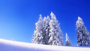 冬季高清雪景壁纸_5