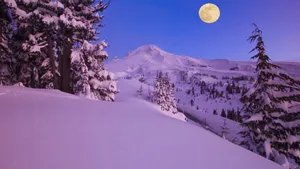 冬季高清雪景壁纸_8