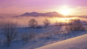 冬季高清雪景壁纸_11