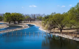 北京南海子公园风景壁纸