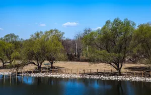 北京南海子公园风景壁纸_2
