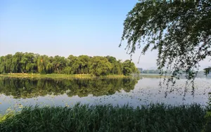 北京南海子公园风景壁纸_7
