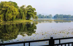 北京南海子公园风景壁纸_10