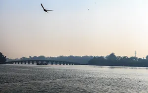 北京南海子公园风景壁纸_11