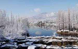 北京植物园雪景图片壁纸_2