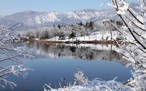 北京植物园雪景图片壁纸_4