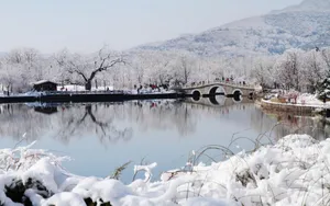北京植物园雪景图片壁纸_6