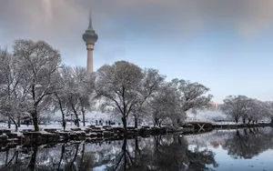 北京玉渊潭公园雪景壁纸_1