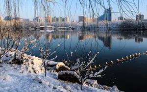 北京玉渊潭公园雪景壁纸_2