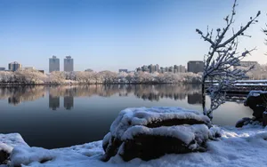 北京玉渊潭公园雪景壁纸_3