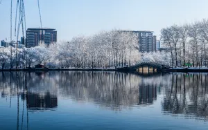 北京玉渊潭公园雪景壁纸_5