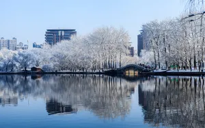 北京玉渊潭公园雪景壁纸_6